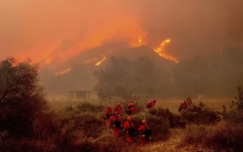 Santa Ana Winds Return Means Increased Fire Risk, Possible Power Shut-Offs for Southern California