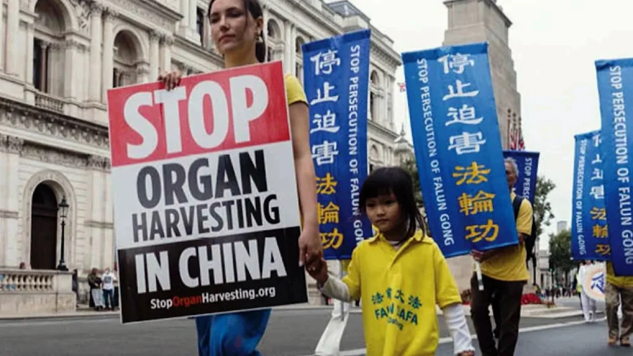 Murder on Demand: Organ Harvesting Exposed on Human Rights Day in The Hague