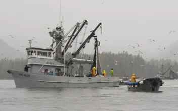 2 Bodies Recovered Amid Debris From Fishing Boat That Reportedly Capsized in Alaska