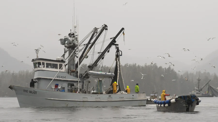 2 Bodies Recovered Amid Debris From Fishing Boat That Reportedly Capsized in Alaska