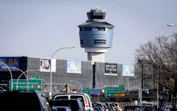 Bird Strike Disables Jetliner Engine and Forces Emergency Landing at JFK Airport