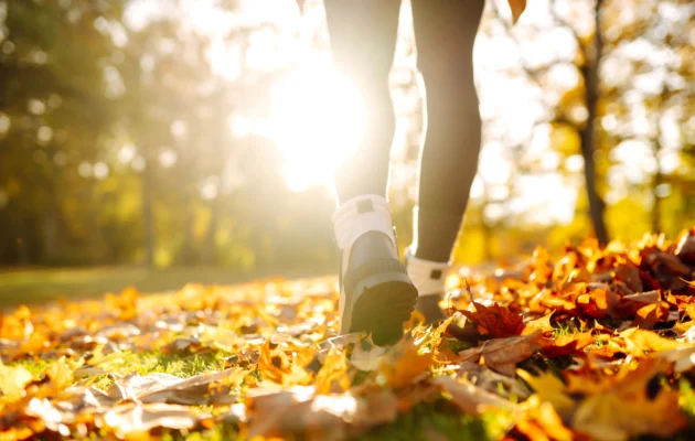 How Taking Regular Walks Benefits Your Health