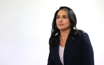 Border Patrol Union Endorses Tulsi Gabbard for Director of National Intelligence Position