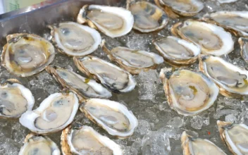 FDA Issues Warning Over Oysters Potentially Contaminated With Norovirus