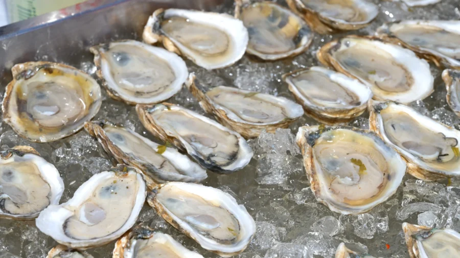 FDA Issues Warning Over Oysters Potentially Contaminated With Norovirus