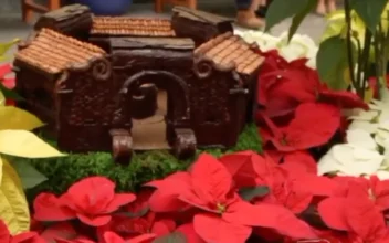 US Botanic Garden Showcases Festive Displays