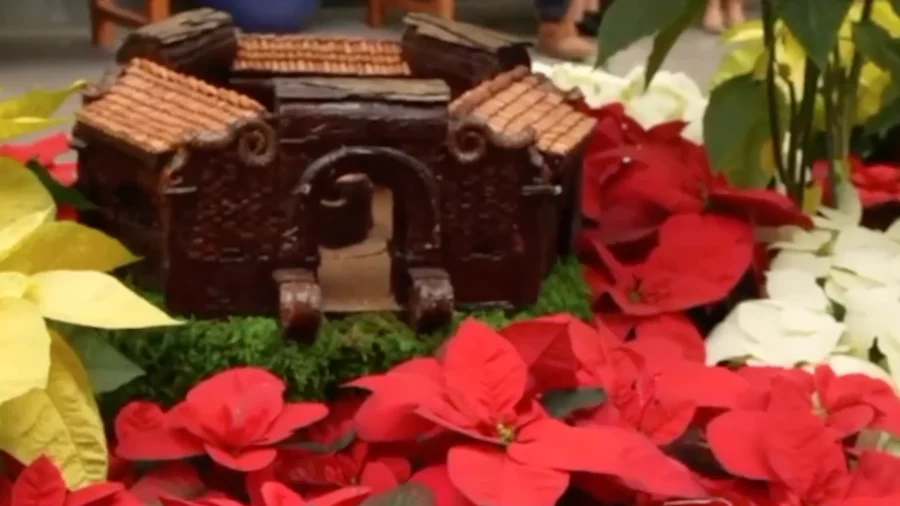 US Botanic Garden Showcases Festive Displays