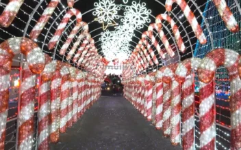 Toronto LED Show Lights Up the Holidays