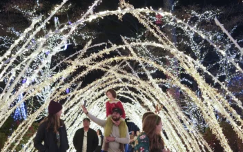 Elaborate Holiday Light Displays Brighten Spirits in a Big Way