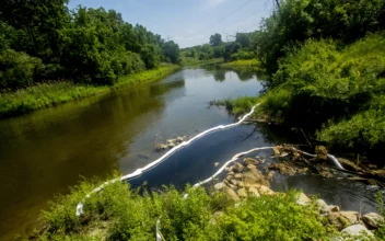 Company Official Charged in 2022 Oil-Chemical Discharge Into Michigan’s Flint River