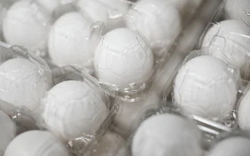 FDA Issues Urgent Salmonella Warning for Costco Eggs