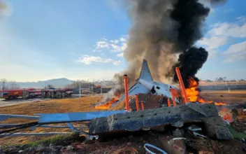 At Least 28 Dead as Plane Crashes Into Runway Fence, Catches Fire at South Korean Airport