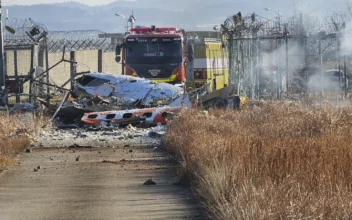 At Least 28 Dead as Plane Crashes Into Runway Fence, Catches Fire at South Korean Airport