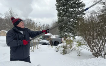 What to Know as Snow, Freezing Rain and Bitter Cold Heads Through Much of the US