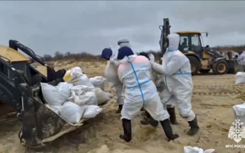 More Than 30 Dolphins Have Died Since Oil Spill Near Southern Russia, Experts Say