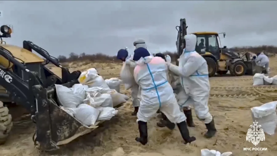 More Than 30 Dolphins Have Died Since Oil Spill Near Southern Russia, Experts Say