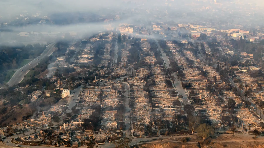 Energy and Environmental Policy Analyst: 'California Government Dropped the Ball Across the Board' on LA Fires, Should Be Held Accountable