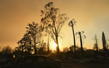 Actor Steve Guttenberg Returns to His Once-Lush LA Neighborhood Now Charred by Devastating Wildfire