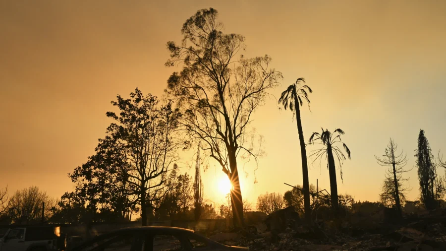 Actor Steve Guttenberg Returns to His Once-Lush LA Neighborhood Now Charred by Devastating Wildfire