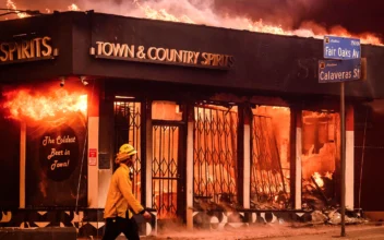 20 Arrested for Looting During Los Angeles Fires