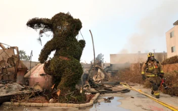 Los Angeles Landmarks From Film and TV Damaged by Wildfires