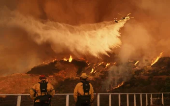 Los Angeles Wildfire Death Toll Rises to 16