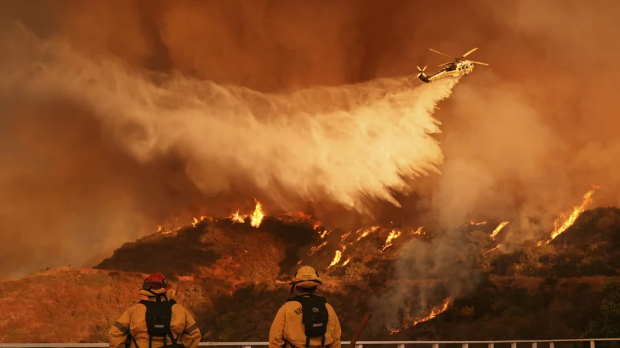 95-Year-Old Hollywood Actress Dalyce Curry Dies in LA Wildfires