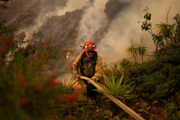 Ap25012100508338-los Angeles Firefighter