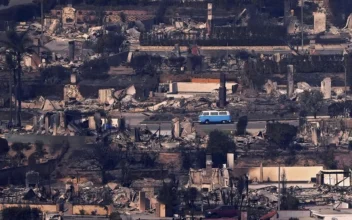 A Retro Blue VW Van Miraculously Survives Deadly Los Angeles Fire