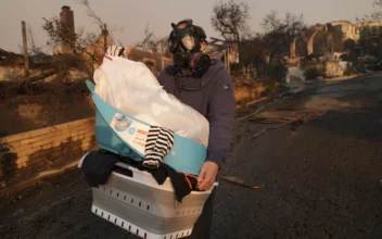 The Ash Left Behind by the Los Angeles Wildfires Might Be Toxic, Experts Warn