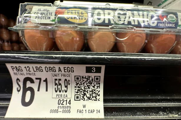 Eggs sit for sale at a grocery store in Windham, Maine on Jan. 27, 2025. (Robert F. Bukaty/AP Photo)