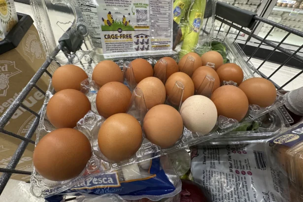 Eggs sit in a container in a shopping cart at grocery store in Windham, Maine on Jan. 27, 2025. (Robert F. Bukaty/AP Photo)