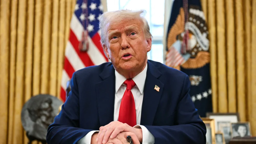 Panel Analysis: Trump's Tactics for Achieving Government Efficiency