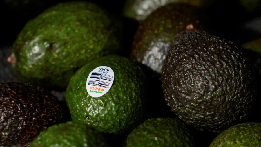 Groceries Around Country Remain Expensive—That’s Why More States Want to Stop Taxing Them