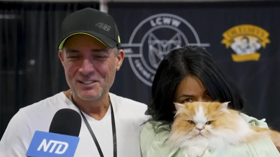 Loving Cats Worldwide Show in Toronto