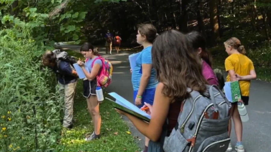 Lexington Montessori Students Learning Life Skills Through Gardening and Farming