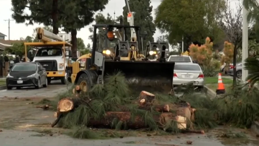 Rare Tornado Rips Through Los Angeles County
