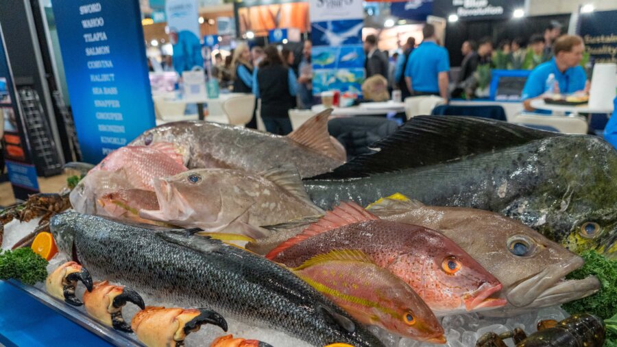 Seafood Expo North America Boston 2025