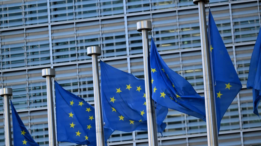 'EU Citizens Want a European DOGE': Member of European Parliament