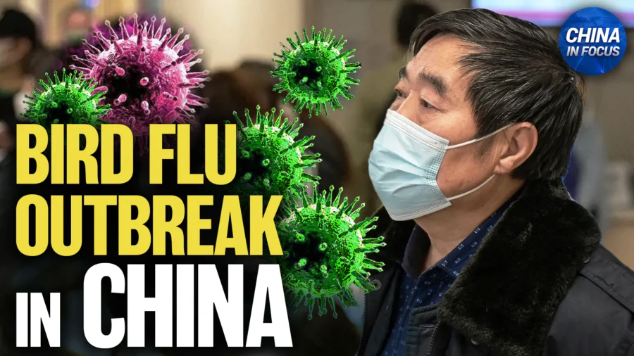 China in Focus Full Broadcast (March 31)