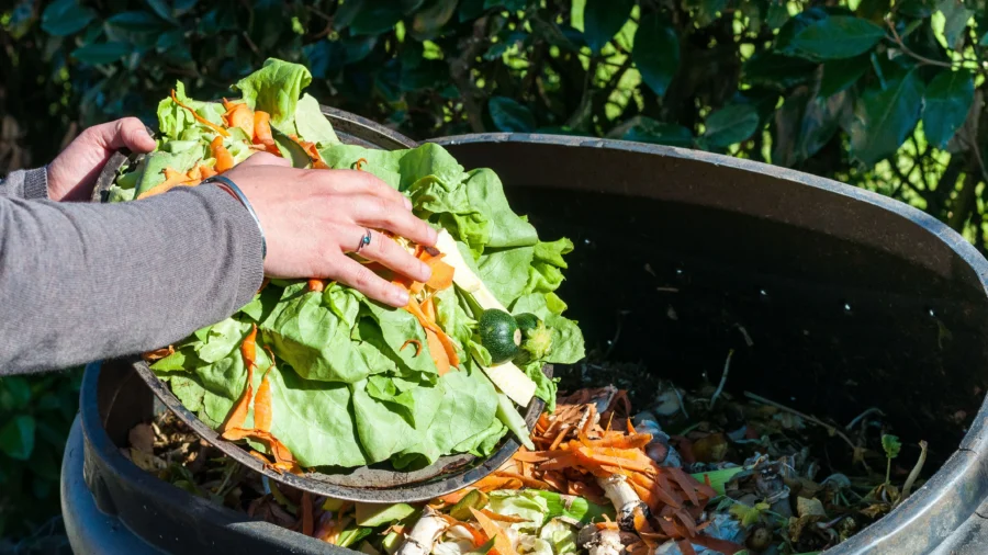 NYC's Composting Rules, Fines for Property Owners Take Effect