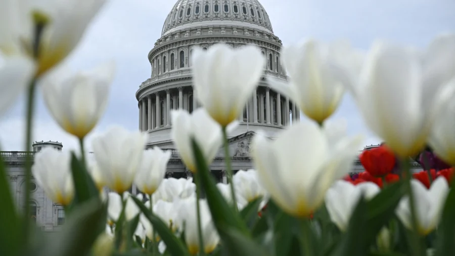 Senate Debates Budget Resolution That Would Unlock Trump's Agenda