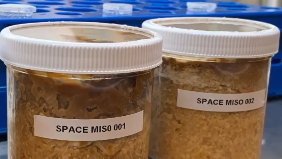 Miso Paste Becomes First Food to Be Fermented in Space