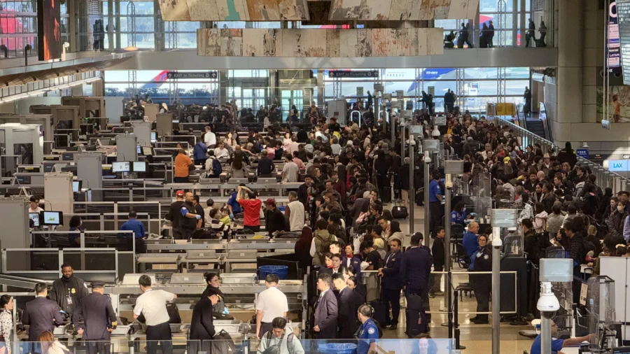 Analyst: TSA Sets Security Standard, Strategies; Private Companies Would Be Executing TSA Duties, Not Setting Policies