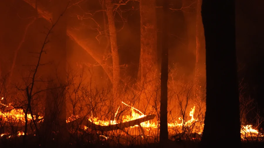 Wildfire in New Jersey Pine Barrens Expected to Grow Before It's Contained, Officials Say