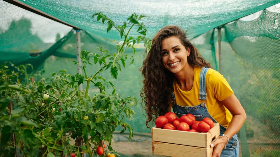 How Community Gardens Are Growing More Than Just Food