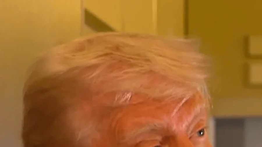 Trump: 'Made a Home' for South African Farmers