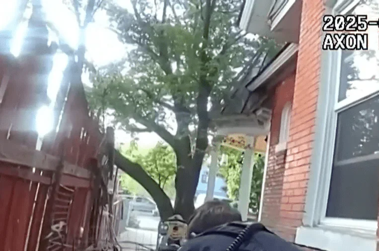 Escaped Pet Kangaroo Keeps Police on the Hop