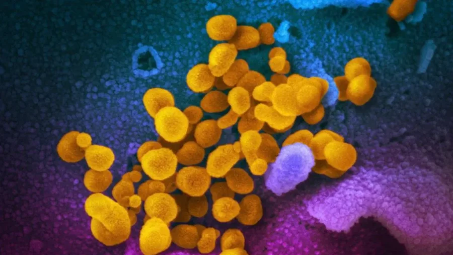 COVID 'Razor Blade Throat' Variant Now Found in 15 US States