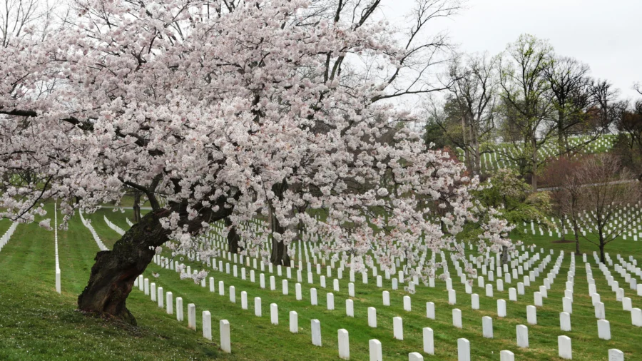 President, Defense Secretary Mark Memorial Day at Arlington Cemetery